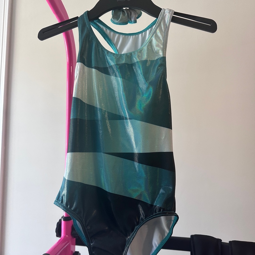 Teal and Black Striped Leotard